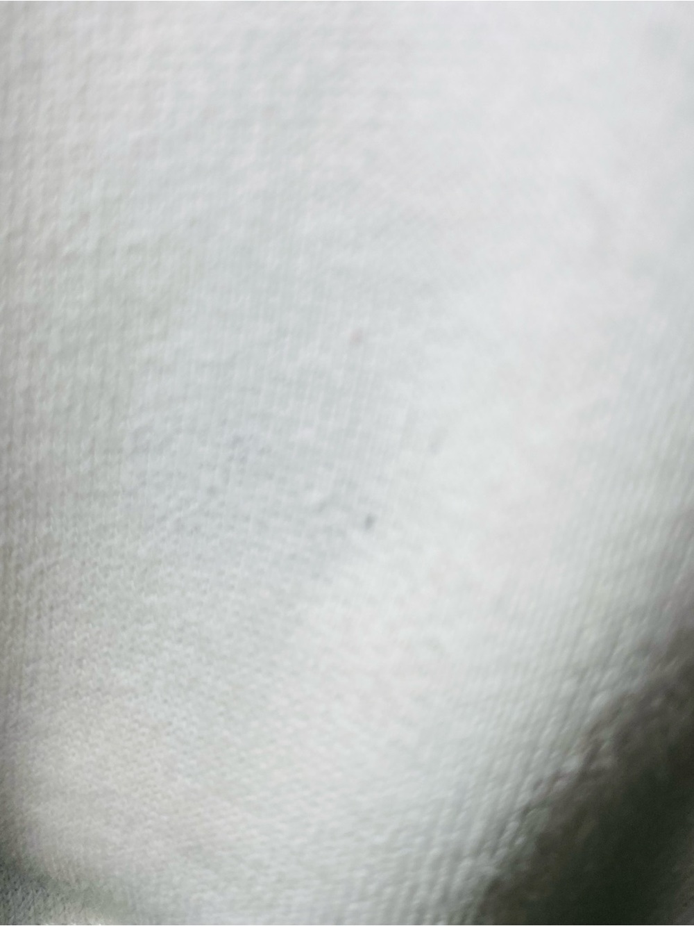 Polo by Ralph Lauren White Hoodie with Blue Hood, Green Hem & Colorful Trim - Picture 4 of 10
